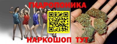 мдпв Нальчик
