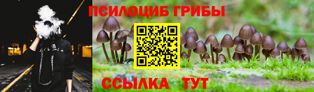 Тосно  Псилоцибиновые грибы ЛСД  Вход с VPN 